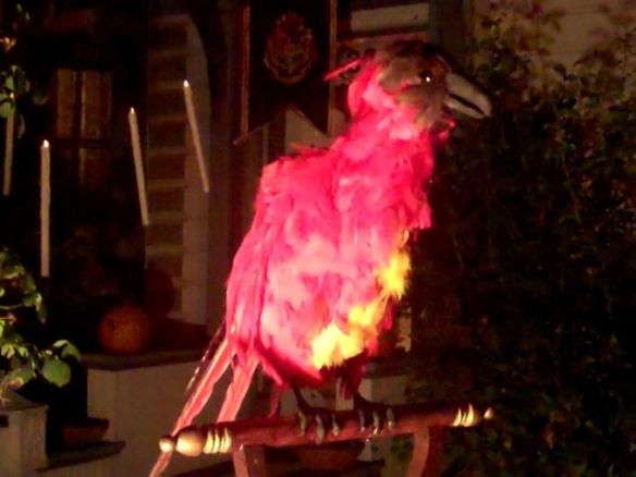 Animatronic Fawkes the Phoenix.  In the background, you can see some levitating candles.