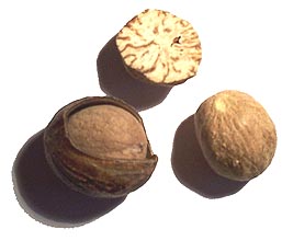 Nutmeg (also the source of the spice mace)